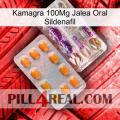 Kamagra 100Mg Oral Jelly Sildenafil new12